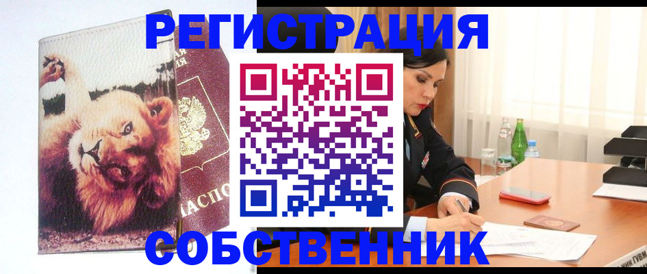 прописка от собственника в Сургуте
